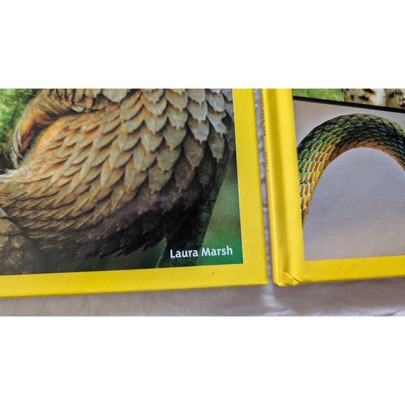 National Geographic Predator Face Off + Animal Armor + Sticker Activity Book Set - Picture 8 of 10